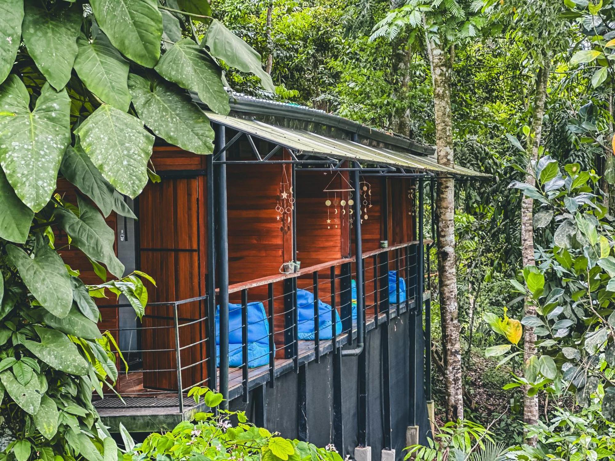 Selva Madre Eco-Sanctuary Aparthotel Cahuita Bagian luar foto